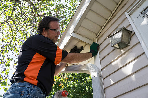 Professional Siding Installation in Kenly, NC